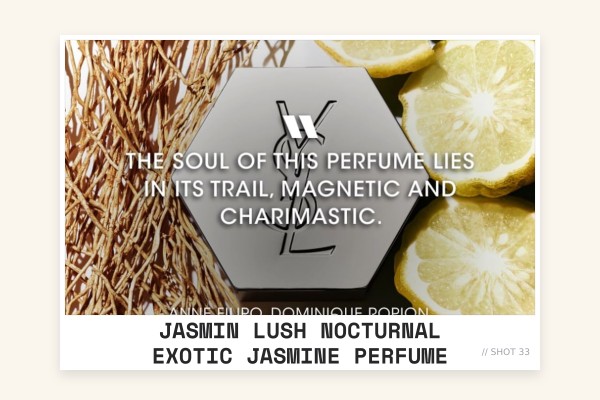 Jasmin lush nocturnal exotic jasmine perfume