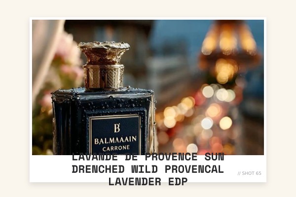Lavande de Provence sun-drenched wild provencal lavender EDP